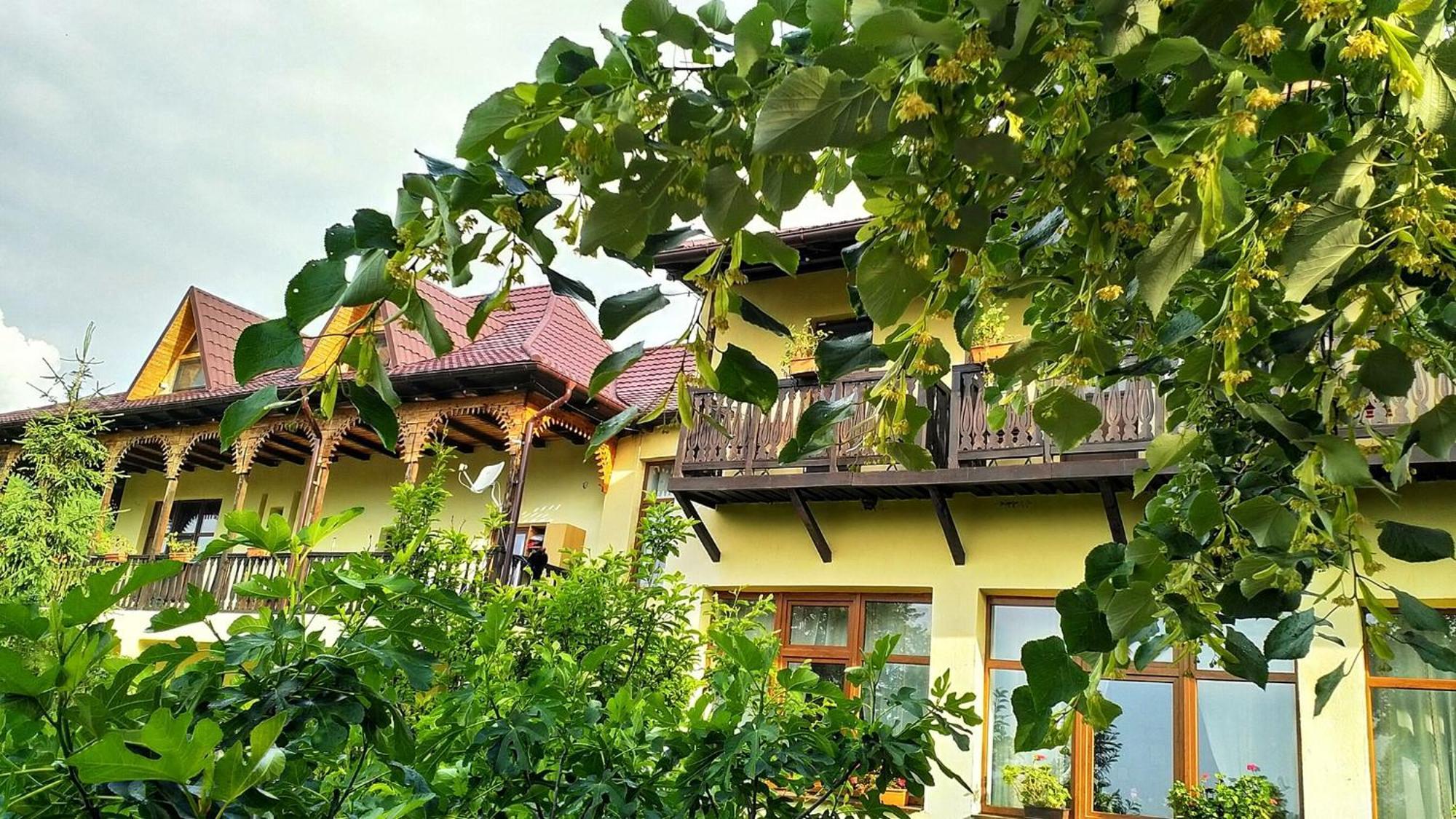 Pension Casa cu Tei Sărata-Monteoru Exterior foto