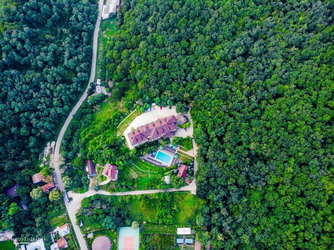 Pension Casa cu Tei Sărata-Monteoru Exterior foto